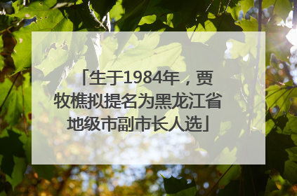 生于1984年，贾牧樵拟提名为黑龙江省地级市副市长人选