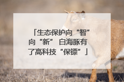 生态保护向“智”向“新” 白海豚有了高科技“保镖”