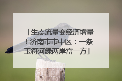 生态流量变经济增量！济南市市中区：一条玉符河绿两岸富一方