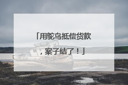 用鸵鸟抵偿货款，案子结了！
