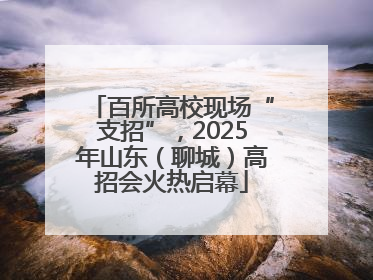 百所高校现场“支招”，2025年山东（聊城）高招会火热启幕