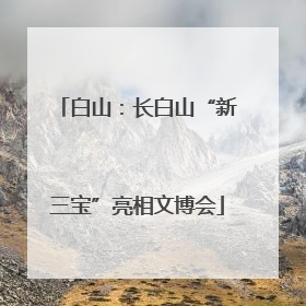 白山：长白山“新三宝”亮相文博会