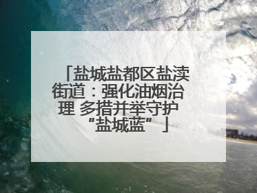 盐城盐都区盐渎街道：强化油烟治理 多措并举守护“盐城蓝”