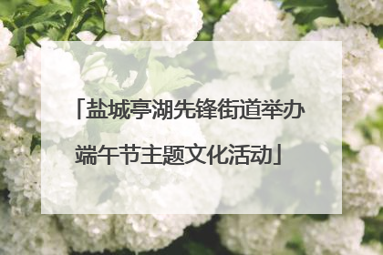 盐城亭湖先锋街道举办端午节主题文化活动