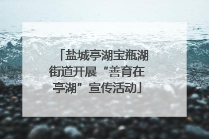 盐城亭湖宝瓶湖街道开展“善育在亭湖”宣传活动