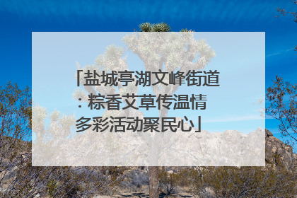 盐城亭湖文峰街道：粽香艾草传温情 多彩活动聚民心