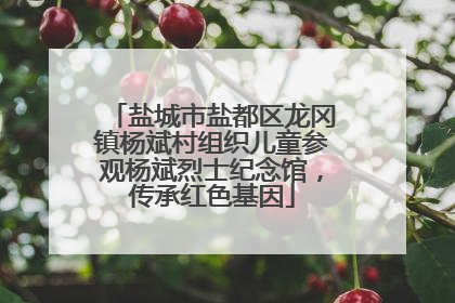盐城市盐都区龙冈镇杨斌村组织儿童参观杨斌烈士纪念馆，传承红色基因