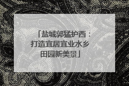 盐城郭猛护西：打造宜居宜业水乡田园新美景