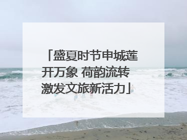 盛夏时节申城莲开万象 荷韵流转激发文旅新活力