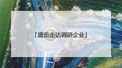 盛蕾走访调研企业
