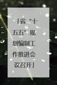 省“十五五”规划编制工作推进会议召开