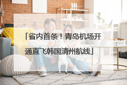省内首条！青岛机场开通直飞韩国清州航线