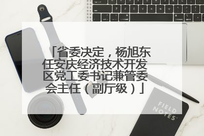 省委决定，杨旭东任安庆经济技术开发区党工委书记兼管委会主任（副厅级）