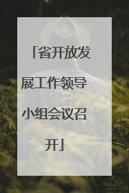 省开放发展工作领导小组会议召开