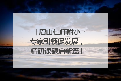 眉山仁师附小：专家引领促发展，精研课题启新篇