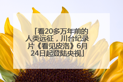 看20多万年前的人类远征，川台纪录片《看见皮洛》6月24日起登陆央视