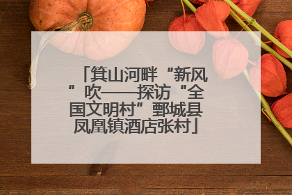 箕山河畔“新风”吹——探访“全国文明村”鄄城县凤凰镇酒店张村