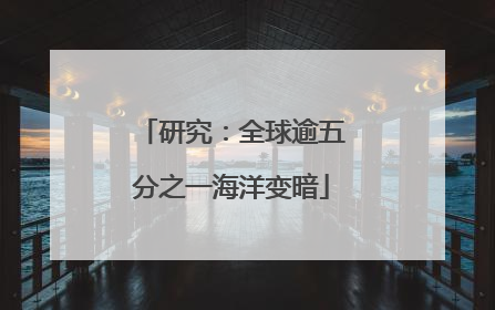 研究：全球逾五分之一海洋变暗