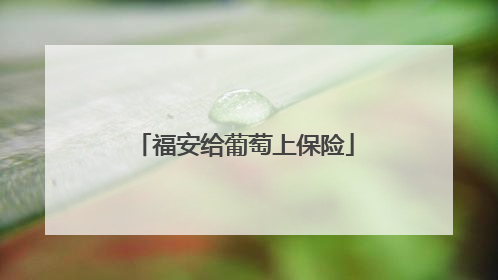 福安给葡萄上保险