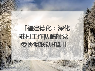 福建德化：深化驻村工作队临时党委协调联动机制