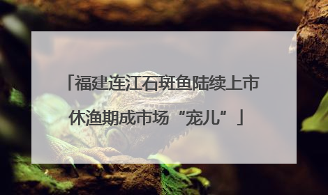 福建连江石斑鱼陆续上市 休渔期成市场“宠儿”
