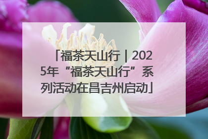 福茶天山行|2025年“福茶天山行”系列活动在昌吉州启动