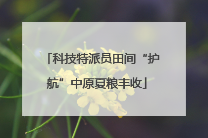 科技特派员田间“护航”中原夏粮丰收