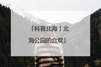 科普北海丨北海公园的合欢