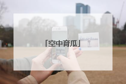 空中育瓜