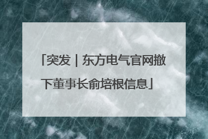 突发｜东方电气官网撤下董事长俞培根信息