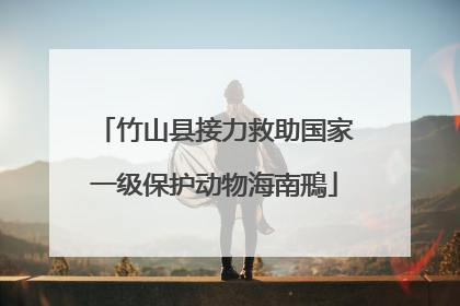 竹山县接力救助国家一级保护动物海南鳽