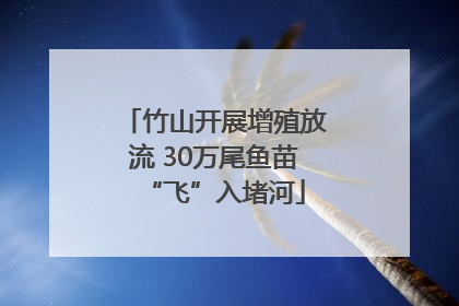 竹山开展增殖放流 30万尾鱼苗“飞”入堵河