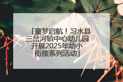 童梦启航！习水县三岔河镇中心幼儿园开展2025年幼小衔接系列活动