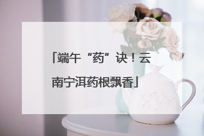 端午“药”诀！云南宁洱药根飘香