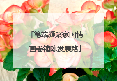 笔端凝聚家国情  画卷铺陈发展路