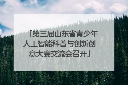 第三届山东省青少年人工智能科普与创新创意大赛交流会召开