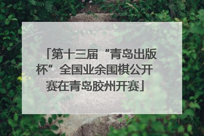 第十三届“青岛出版杯”全国业余围棋公开赛在青岛胶州开赛