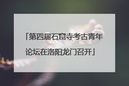 第四届石窟寺考古青年论坛在洛阳龙门召开