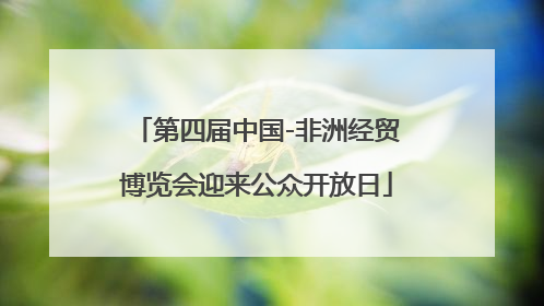 第四届中国-非洲经贸博览会迎来公众开放日