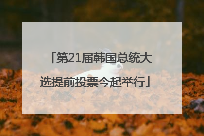 第21届韩国总统大选提前投票今起举行