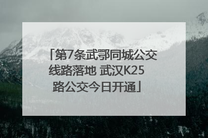 第7条武鄂同城公交线路落地 武汉K25路公交今日开通