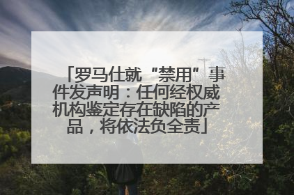 罗马仕就“禁用”事件发声明：任何经权威机构鉴定存在缺陷的产品，将依法负全责
