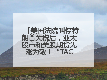 美国法院叫停特朗普关税后，亚太股市和美股期货先涨为敬！“TACO交易”兴起