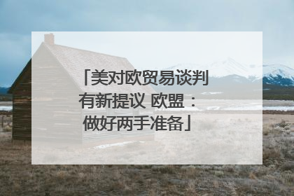 美对欧贸易谈判有新提议 欧盟：做好两手准备