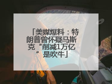 美媒爆料：特朗普曾怀疑马斯克“削减1万亿”是吹牛