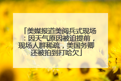 美媒报道美阅兵式现场：因天气原因被迫提前，现场人群稀疏，美国务卿还被拍到打哈欠