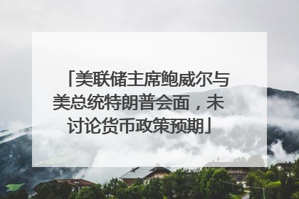 美联储主席鲍威尔与美总统特朗普会面，未讨论货币政策预期