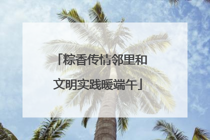 粽香传情邻里和 文明实践暖端午