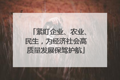 紧盯企业、农业、民生，为经济社会高质量发展保驾护航