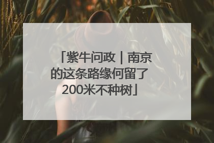 紫牛问政｜南京的这条路缘何留了200米不种树